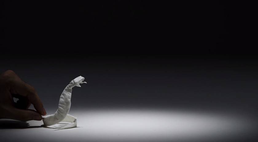 Tissue Animals - Nepia - Stop Motion Animation