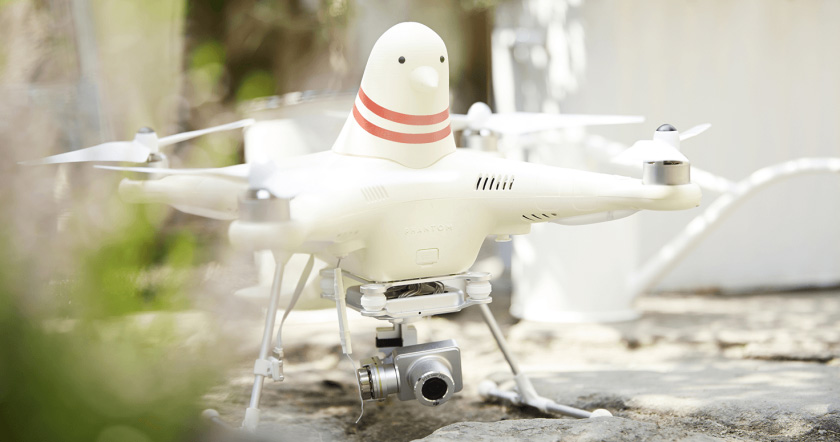 Pigeon Drones, Beer, and the White House